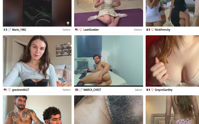To modelkort i dansk CAM4 med flag, navn og præference